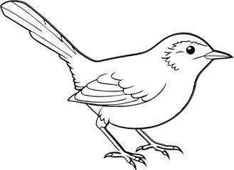 wren vector illustration 