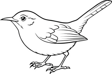 wren vector illustration 