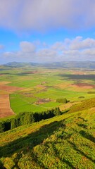 Fototapeta premium field and blue sky