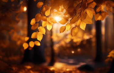 Golden leaves hang in a forest with the sun shining through the branches.