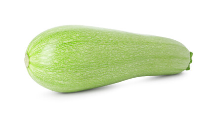 One fresh ripe zucchini isolated on white