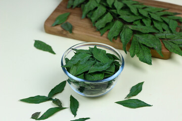 Daun Kari or curry leaves on a glass bowl. Aromatic leaves for making chicken or beef curry. Isolated background, selected focus.