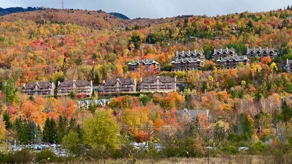 Vibrant Autumn Foliage at Mont Tremblant