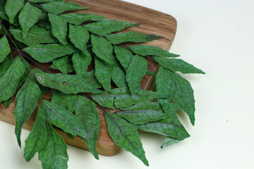 Daun Kari or curry leaves on a glass bowl. Aromatic leaves for making chicken or beef curry. Isolated background, selected focus.