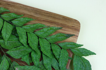 Daun Kari or curry leaves on a glass bowl. Aromatic leaves for making chicken or beef curry. Isolated background, selected focus.