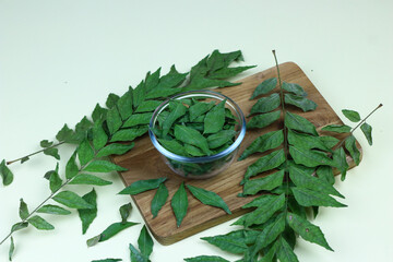 Daun Kari or curry leaves on a glass bowl. Aromatic leaves for making chicken or beef curry. Isolated background, selected focus.