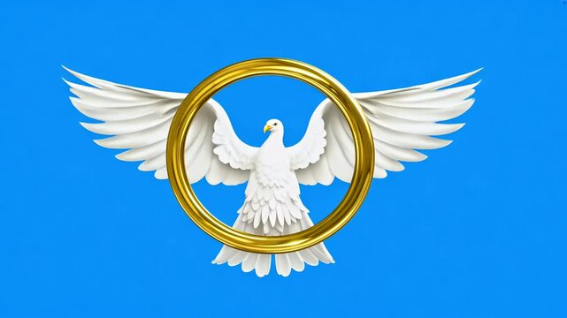 delightful animation dding dove white pigeon carrying two golden rings gracefully flies beautifully rendered loop blue screen artistic 3D chroma key background bird animal circle