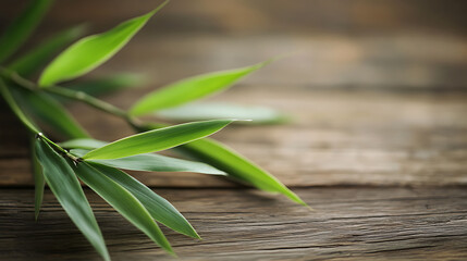 Obraz premium bamboo leaves isolated on a wooden table