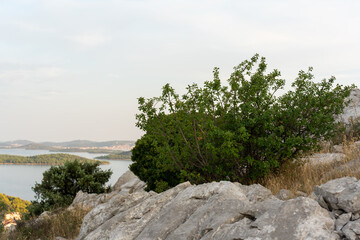 Breathtaking view of rugged rocks and vibrant greenery overlooking a calm sea and distant islands at dusk. High quality photo
