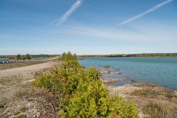 Lake with trees