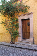 Obraz premium antique yellow house with majestic wooden door next to a growing vine in San Miguel de Allende, Mexico