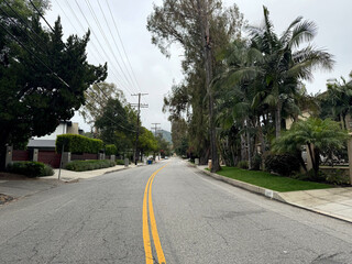 an empty residential street (driveways, homes and houses, parked cars, telephone poles and wires, trees, hedges) -  suburban Los Angeles, California