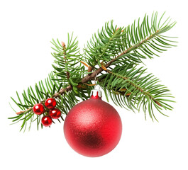 Fototapeta premium Red Christmas balls with spruce branch. Isolated transparent png background. 