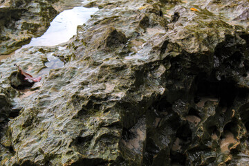 Large black coral rocks with a rough texture on the beach.