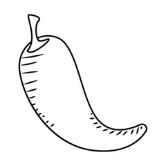 Hand-drawn chili pepper illustration with spicy theme Vector