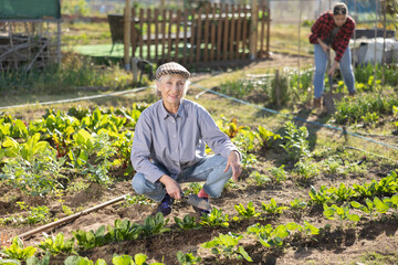 Mature woman using chopper to harvest weeds on the field