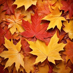 Fototapeta premium seamless autumn leaves background