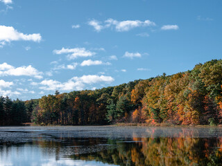 autumn on the pond