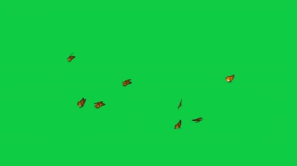 5 Yellow Monarch Butterflies Swarms Animation - Overlay Graphic Element Green Screen