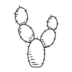 Hand-drawn prickly pear cactus icon for desert design Vector