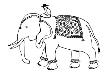 アフリカゾウと人