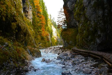 Beautiful Martuljek gorge in autumn with the trees in orange color and a creek flowing through near...