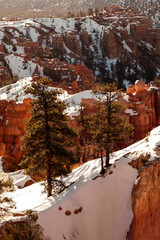 bryce canyon national park 