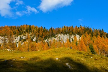 View of mountains above Lipanca in Julian alps, Slovenia