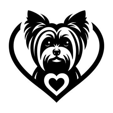 Yorkshire Terrier in Heart
