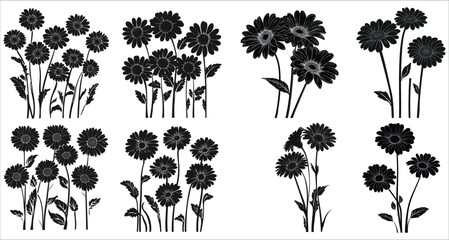 Fototapeta premium Gerbera flower silhouettes vector. Black silhouettes of gerbera flower. Decorative floral design elements, Beautiful gerbera flower silhouettes, Black gerbera flowers silhouettes on white background