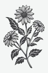 Rudbeckia Branch with Flowers Silhouette Vector Illustration in Black and White Design