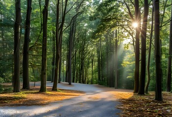 Obraz premium parking lot