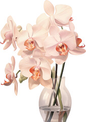 pink orchid isolated on white