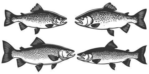 Fish vector Art & Illustration