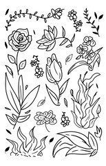 Fototapeta premium Handdrawn Doodle floowers and leafs collection