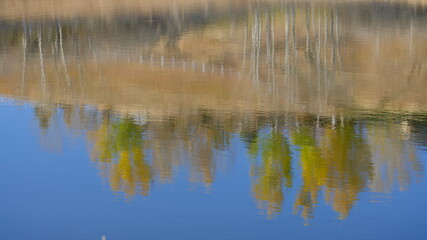 reflection of trees in water, autumn, nature