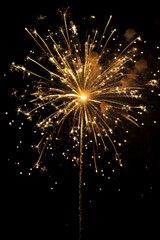 Obraz premium fireworks on black background