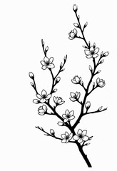 Fototapeta premium Elegant Black and White Floral Silhouette: Minimalist Cherry Blossom Branches with Delicate Flower Outlines for Japanese-Inspired Graphic Design