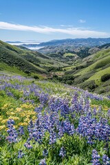 Obraz premium Blooming Wildflowers on Rolling Green Hills