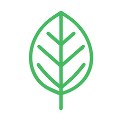Leaf line icon vector 