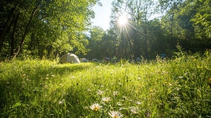 Fototapeta premium Wilderness Delight: Campers Setting Up Tents Amidst Wildflowers in Picturesque Nature Campsite with Strong Camaraderie Vibes