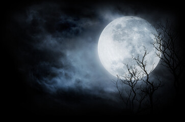 Full moon halloween scary night background. Full moon scary night sky with dark clouds background and bare tree branches in front of the moon