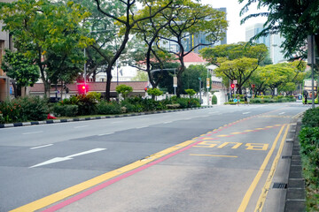 Asphalt Road and Sidewalk in The City Street With Trees