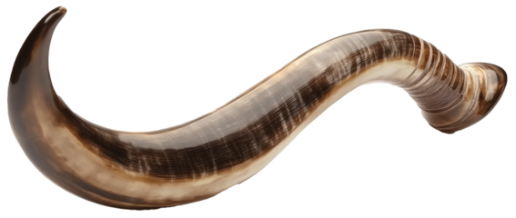 Shofar horn isolated on transparent background. Ancient musical horn typically made of a ram's horn