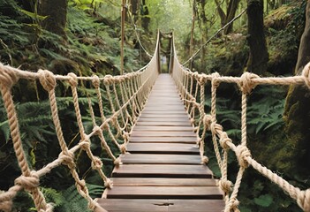 Obraz premium Large rope ladder crafted for climbing, providing sturdy access to elevated areas in various settings. 