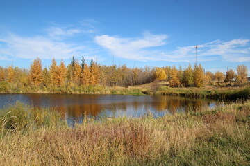 Autumn In The Wetlands,  Gold Bar Park, Edmonton, Alberta