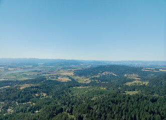 Obraz premium A beautiful view of a forest with a clear blue sky