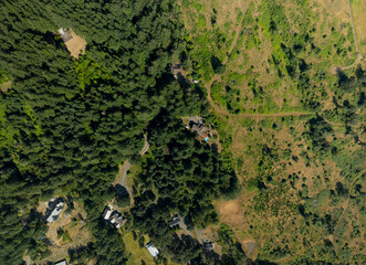 A forest with a house in the middle