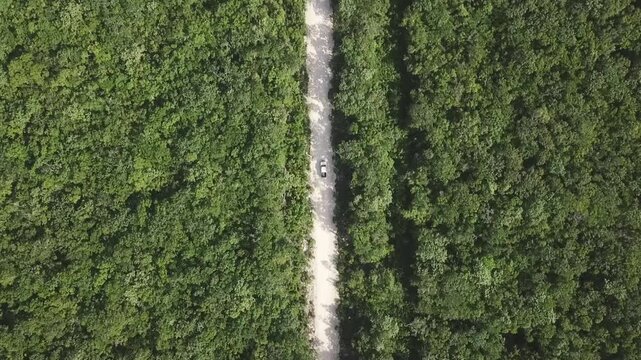 Top Down Aerial view of car driving on a dirt road in the middle of thr green junglre next to Tulum,Yucatan Penisula, Mexican Caribbean