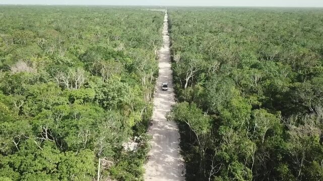 Aerial view of car driving on a dirt road in the middle of thr green junglre next to Tulum,Yucatan Penisula, Mexican Caribbeanroject